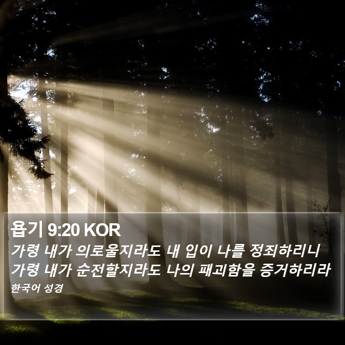 욥기 9:20 KOR Bible Study