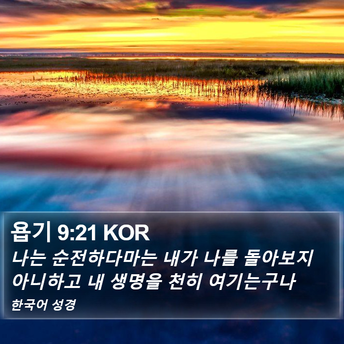 욥기 9:21 KOR Bible Study