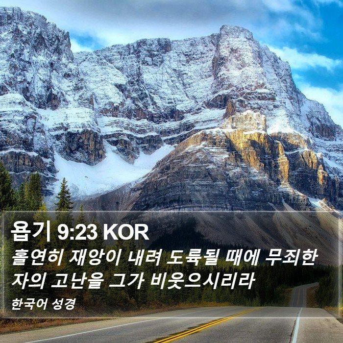 욥기 9:23 KOR Bible Study