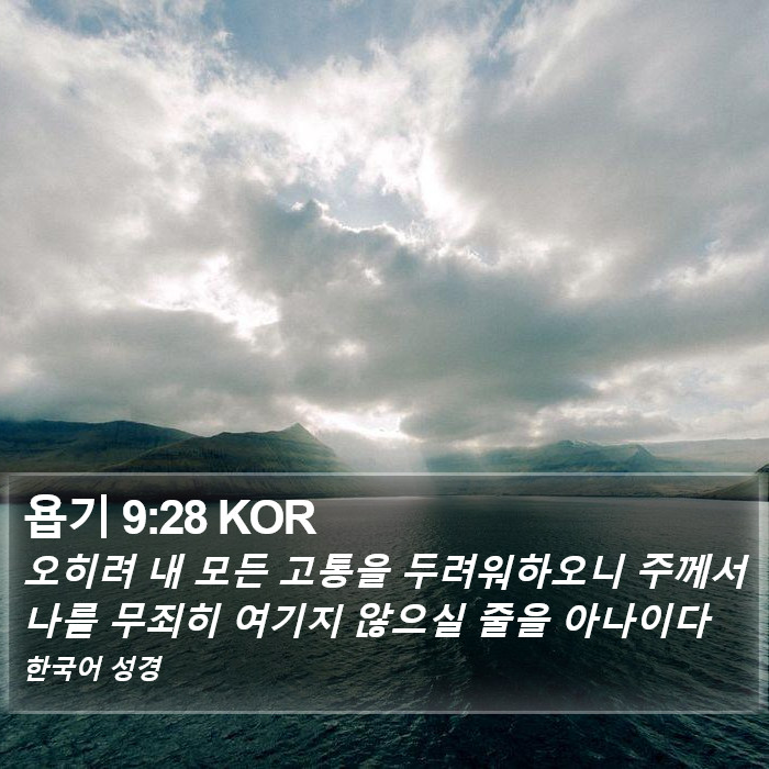 욥기 9:28 KOR Bible Study