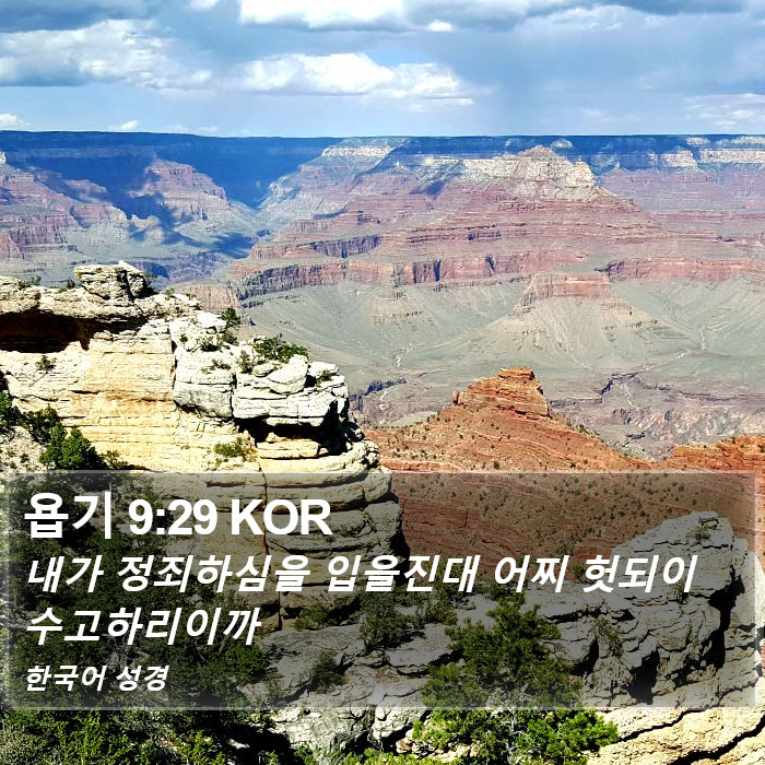 욥기 9:29 KOR Bible Study