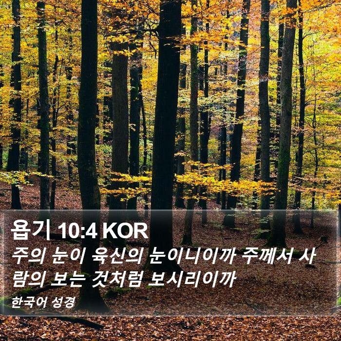 욥기 10:4 KOR Bible Study