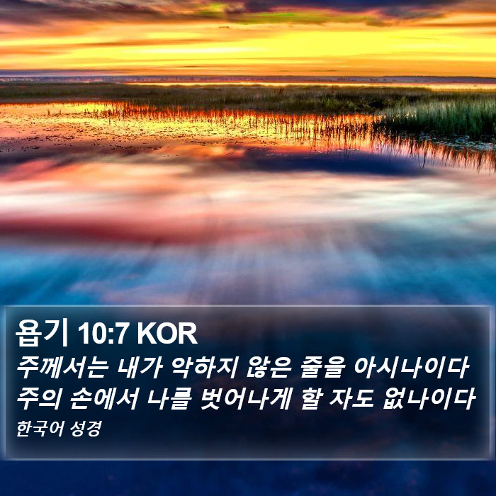 욥기 10:7 KOR Bible Study