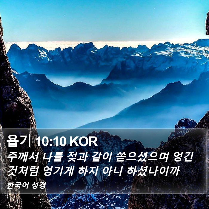 욥기 10:10 KOR Bible Study