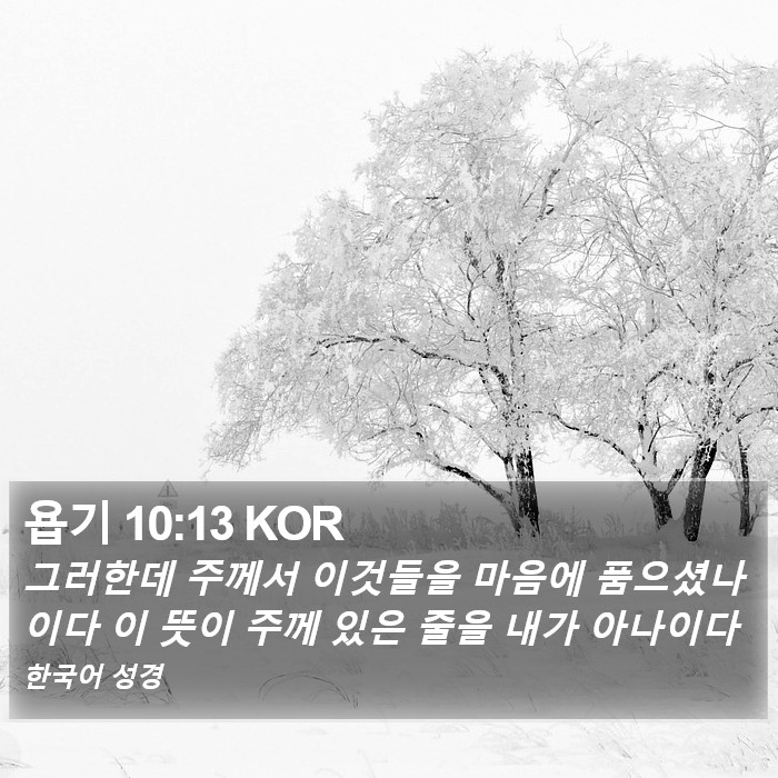 욥기 10:13 KOR Bible Study