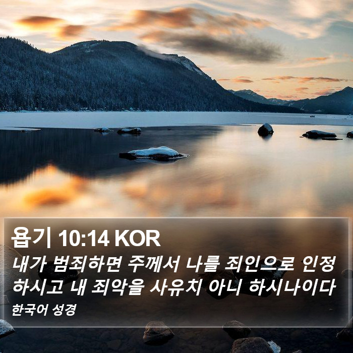 욥기 10:14 KOR Bible Study