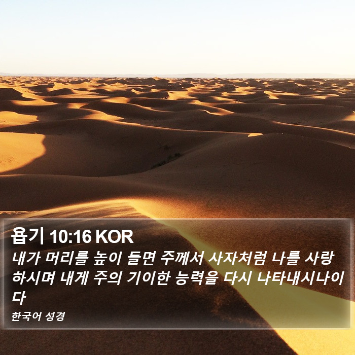 욥기 10:16 KOR Bible Study