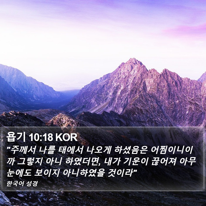 욥기 10:18 KOR Bible Study