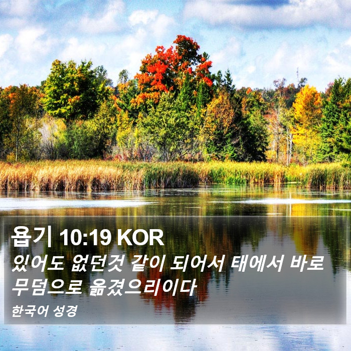 욥기 10:19 KOR Bible Study