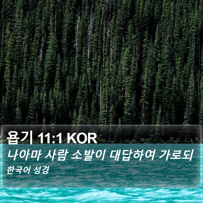 욥기 11:1 KOR Bible Study