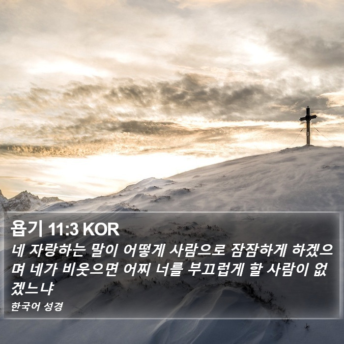 욥기 11:3 KOR Bible Study