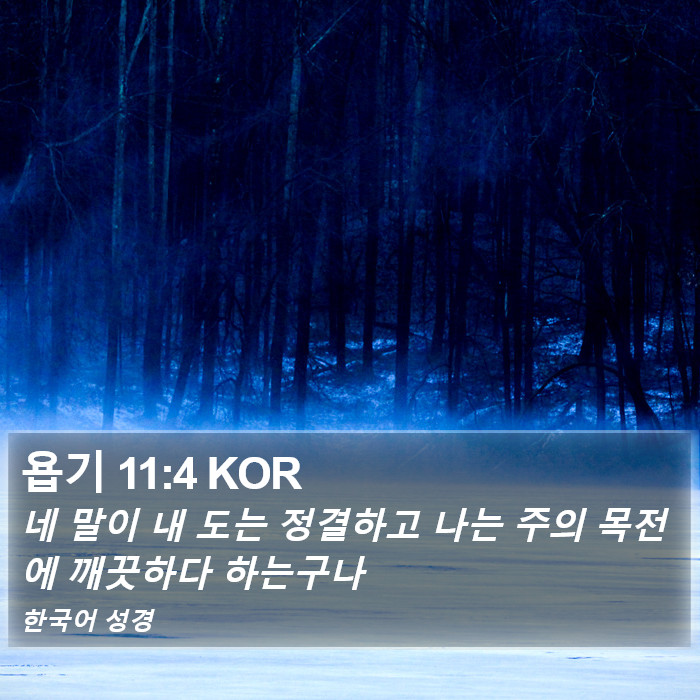 욥기 11:4 KOR Bible Study