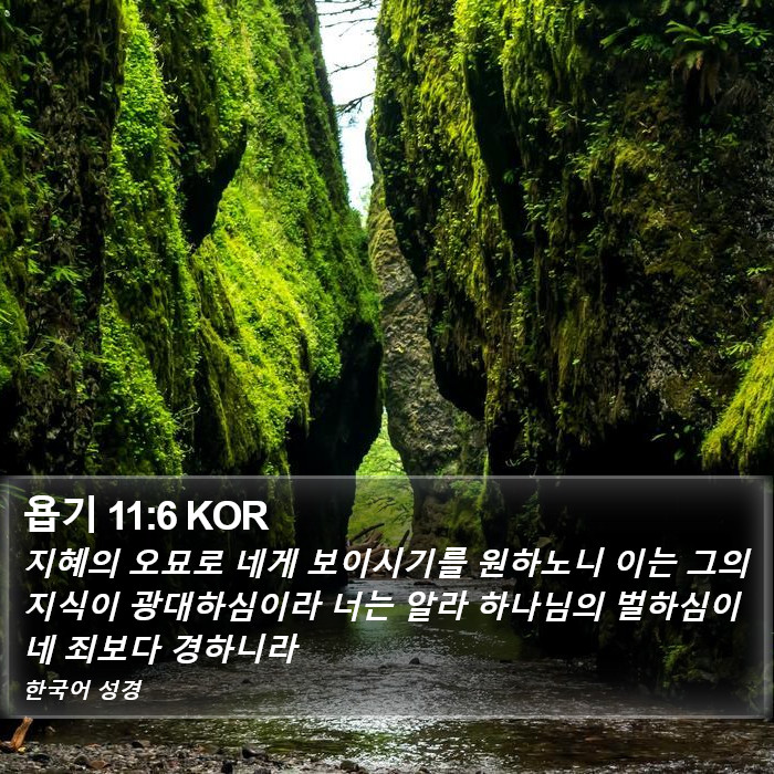 욥기 11:6 KOR Bible Study