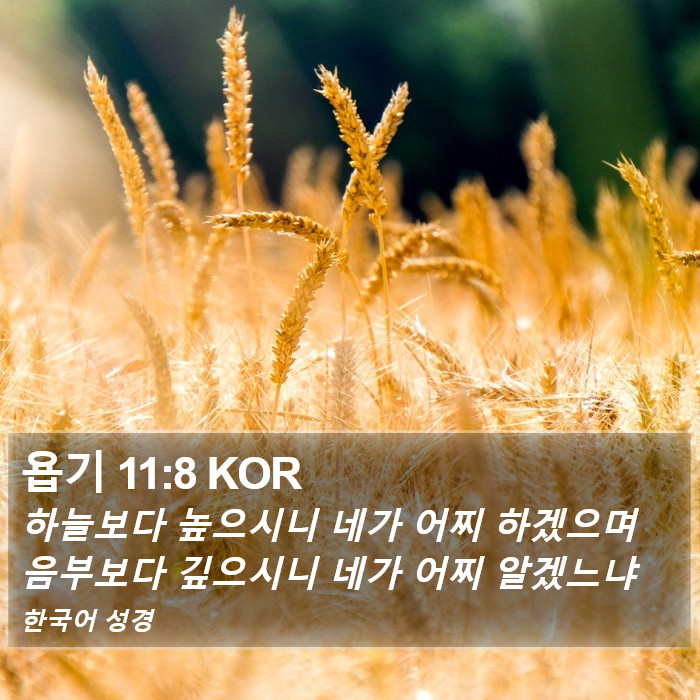 욥기 11:8 KOR Bible Study