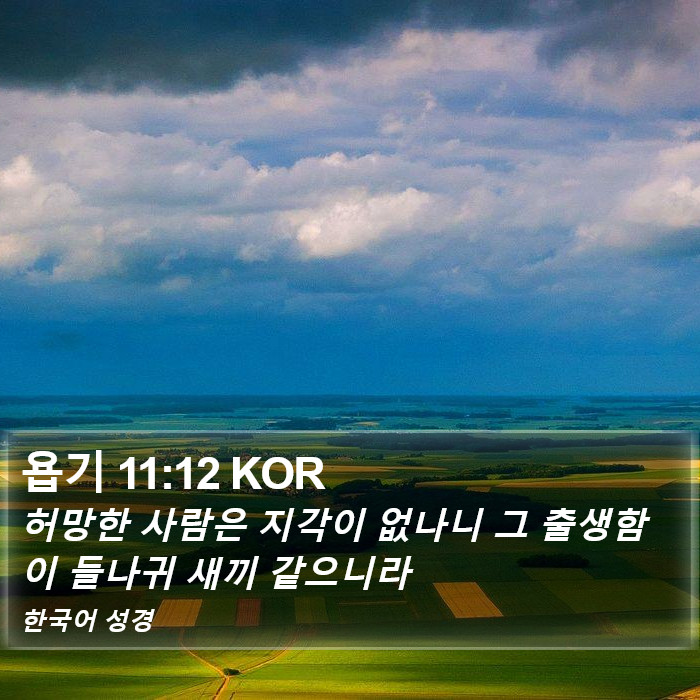 욥기 11:12 KOR Bible Study