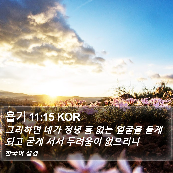 욥기 11:15 KOR Bible Study