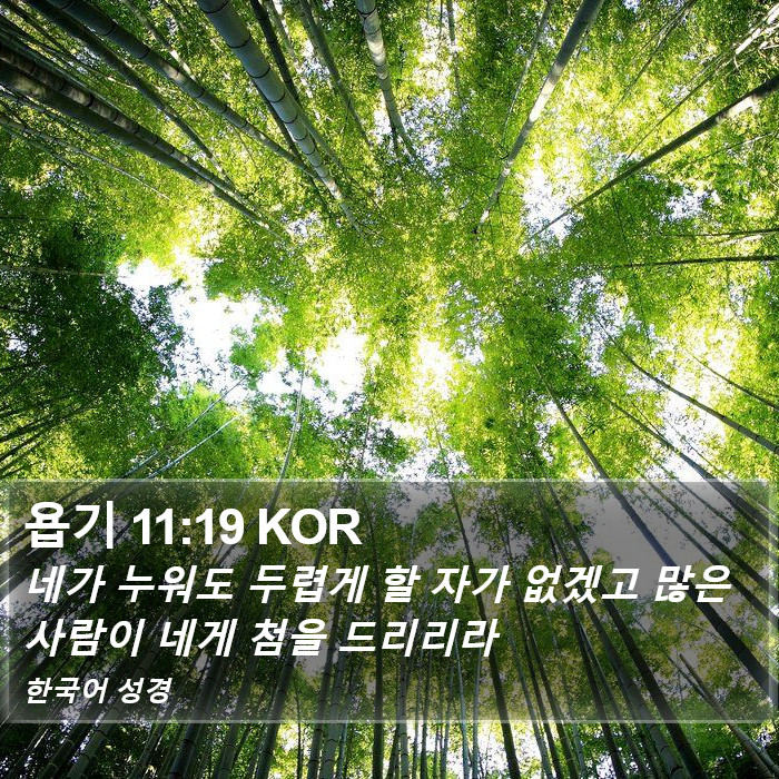 욥기 11:19 KOR Bible Study