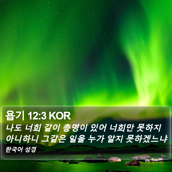 욥기 12:3 KOR Bible Study