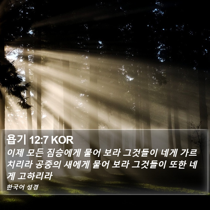 욥기 12:7 KOR Bible Study