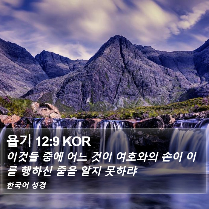 욥기 12:9 KOR Bible Study