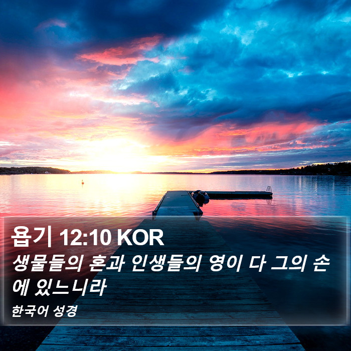 욥기 12:10 KOR Bible Study