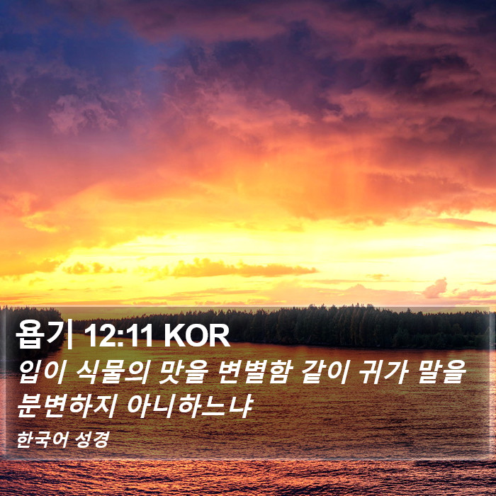 욥기 12:11 KOR Bible Study