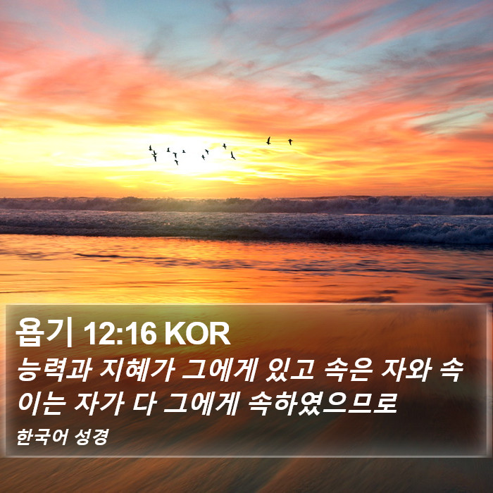 욥기 12:16 KOR Bible Study