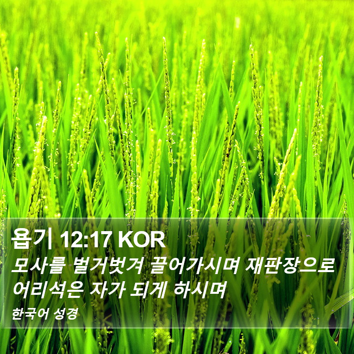 욥기 12:17 KOR Bible Study