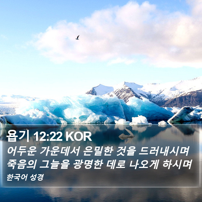 욥기 12:22 KOR Bible Study