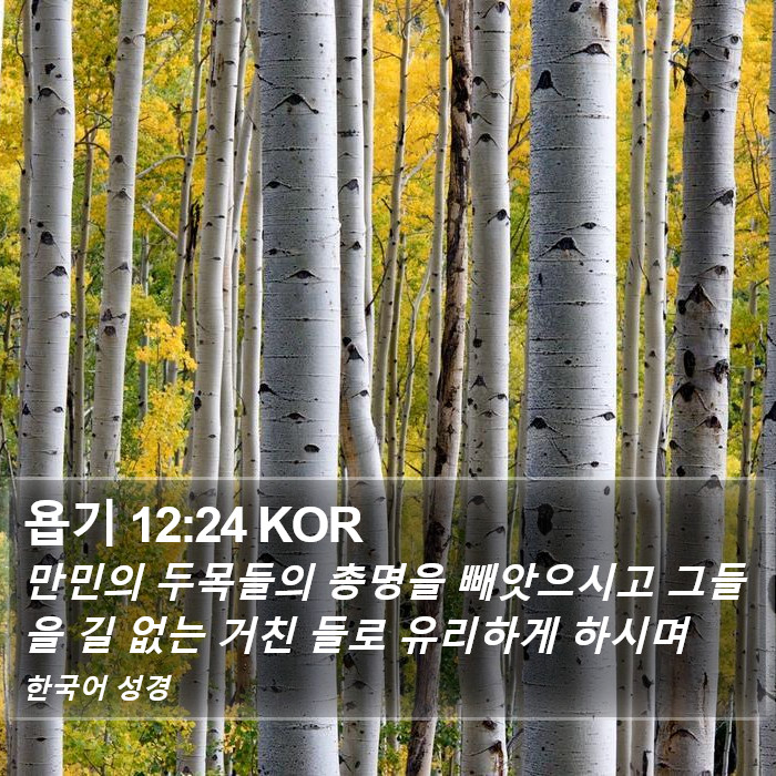 욥기 12:24 KOR Bible Study