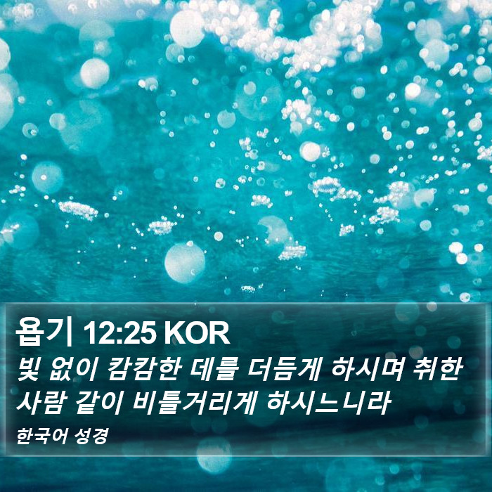 욥기 12:25 KOR Bible Study