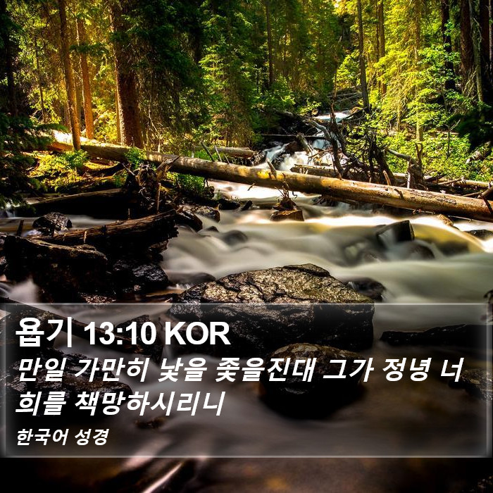 욥기 13:10 KOR Bible Study