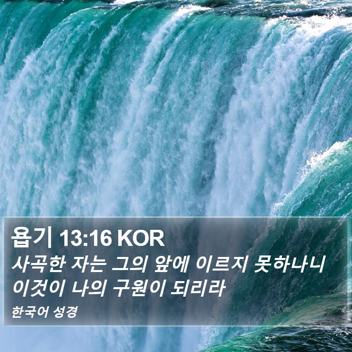 욥기 13:16 KOR Bible Study