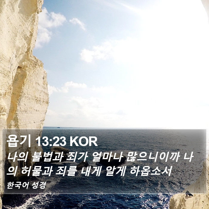 욥기 13:23 KOR Bible Study