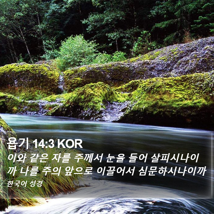 욥기 14:3 KOR Bible Study