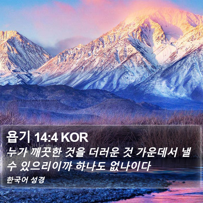 욥기 14:4 KOR Bible Study