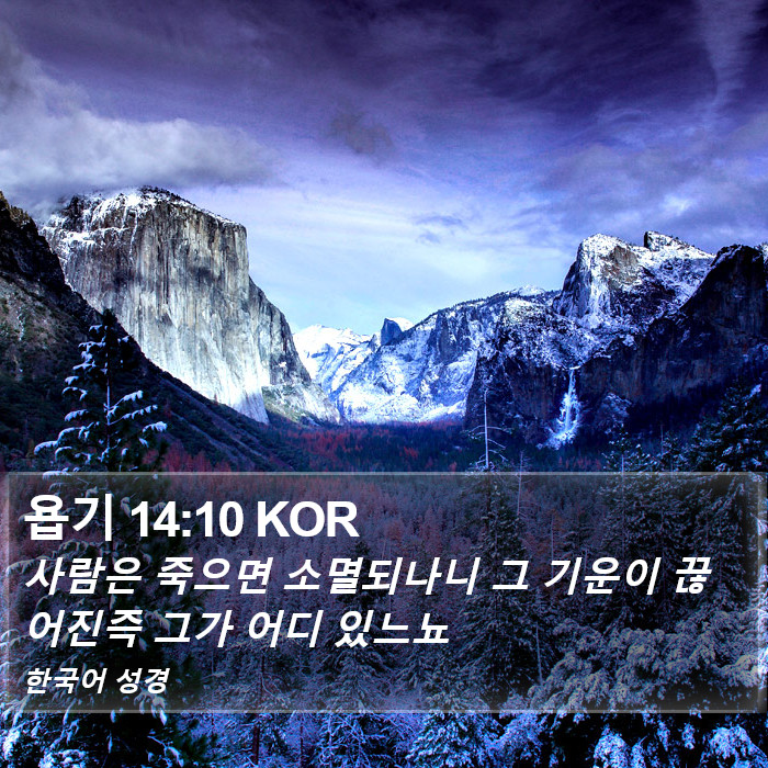 욥기 14:10 KOR Bible Study