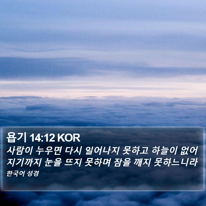 욥기 14:12 KOR Bible Study