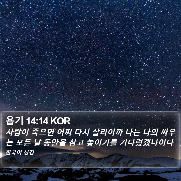 욥기 14:14 KOR Bible Study