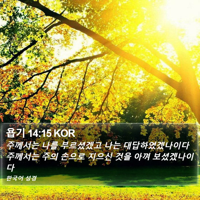 욥기 14:15 KOR Bible Study