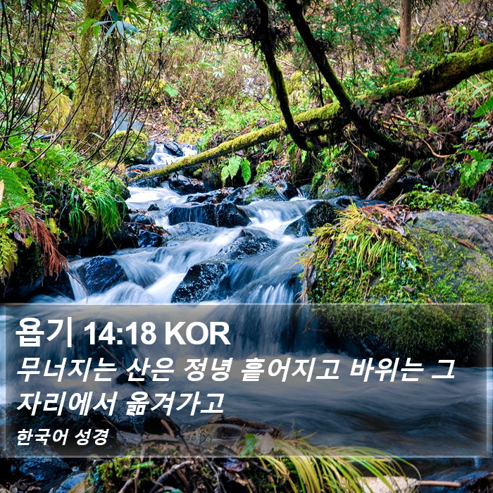 욥기 14:18 KOR Bible Study