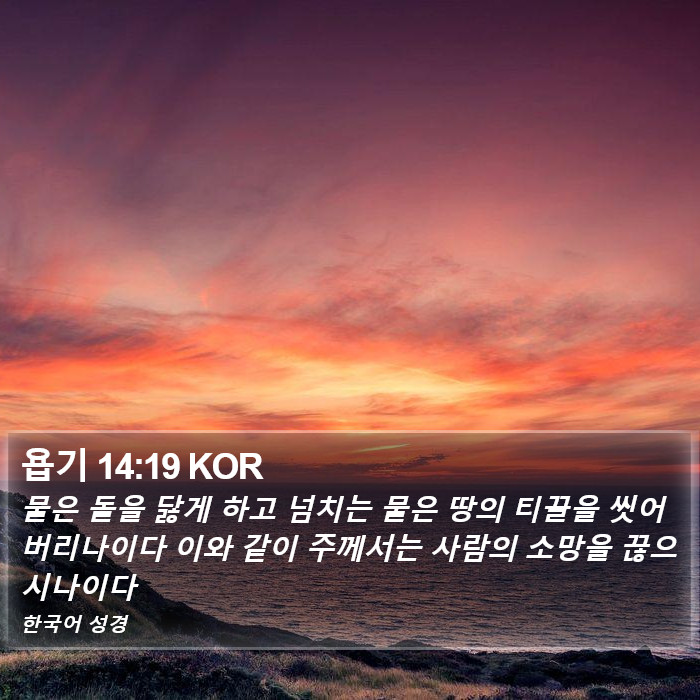 욥기 14:19 KOR Bible Study