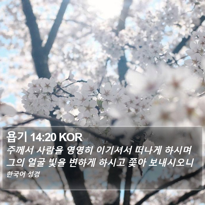 욥기 14:20 KOR Bible Study