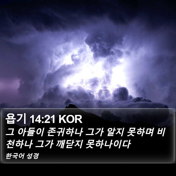 욥기 14:21 KOR Bible Study