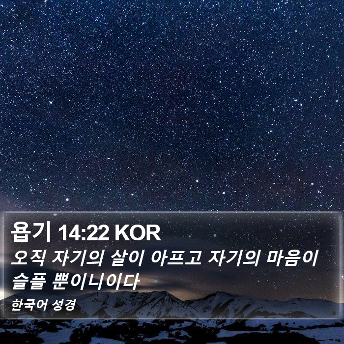 욥기 14:22 KOR Bible Study