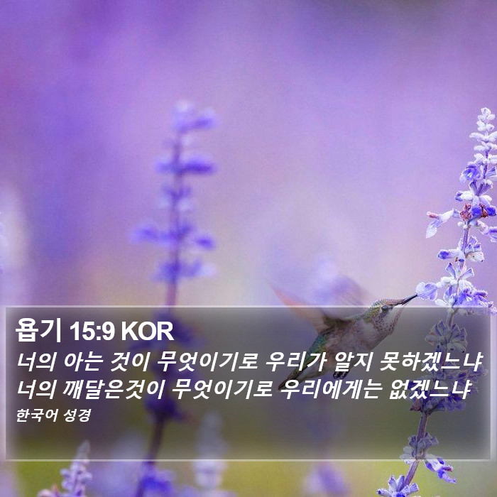 욥기 15:9 KOR Bible Study