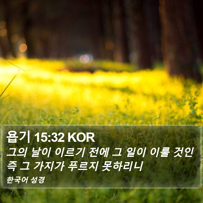 욥기 15:32 KOR Bible Study