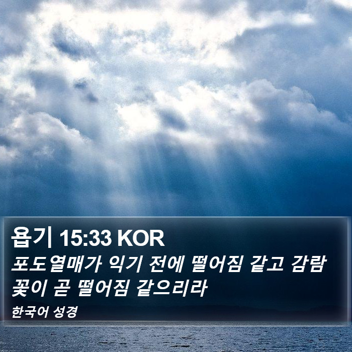 욥기 15:33 KOR Bible Study