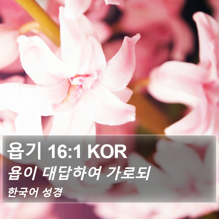 욥기 16:1 KOR Bible Study