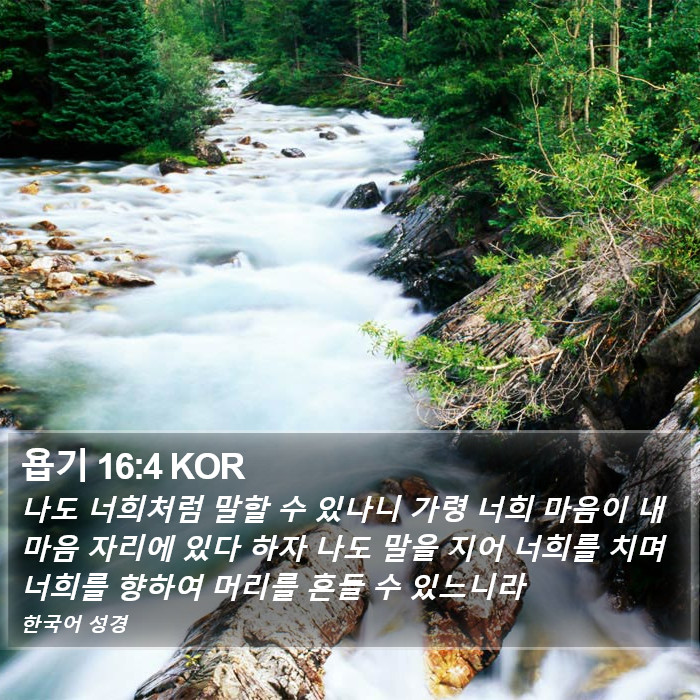 욥기 16:4 KOR Bible Study